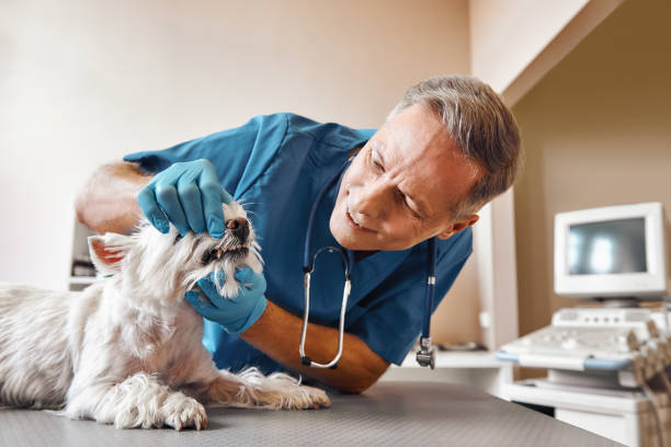 Best Emergency Tooth Extraction in Central High, OK